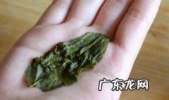 水仙茶的特点 水仙茶的特点和特征