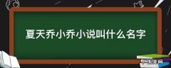 夏天乔小乔小说全文在线阅读 夏天乔小乔小说叫什么名字