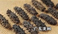 野生海参和养殖海参的区别(图文超详 野生海参和养殖海参的区别
