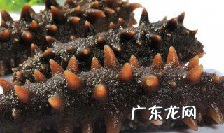 如何发海参最好方法 正确 如何发海参