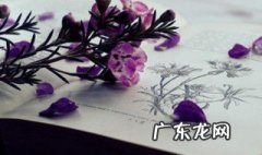 怎样才能学好英语 怎样才能学好英语口语