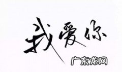 我爱你的表达方式 十种我爱你的表达方式