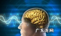 成人如何提高记忆力和专注力 成人如何提高记忆力