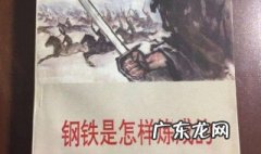 钢铁是怎样炼成的读后感600字 钢铁是怎样炼成的读后感600