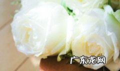 白玫瑰花语是什么 粉玫瑰花语是什么