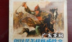 钢铁是怎样炼成的读后感600字 钢铁是怎样炼成的读后感800字