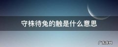 守株待兔的触是什么意思 守株待兔的触是什么意思?