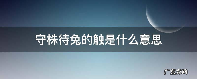 守株待兔的触是什么意思 守株待兔的触是什么意思?