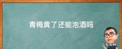 青梅微黄能泡酒吗 青梅黄了还能泡酒吗