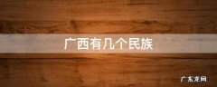 广西有几个民族 广西有几个民族自治县
