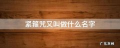 紧箍咒的别名叫什么 紧箍咒又叫做什么名字