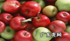 苹果什么时候吃才是最好的 苹果什么时候吃