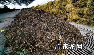 草木灰可不可以直接施肥 草木灰可以直接用作施肥吗