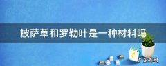 罗勒叶和披萨草叶有什么区别 披萨草和罗勒叶是一种材料吗
