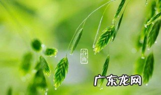 谷雨四句古诗 谷雨四句古诗明朝知谷雨,无策禁花风意思