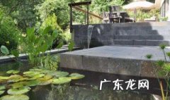 泥鳅池塘养殖 泥鳅池塘养殖设计图