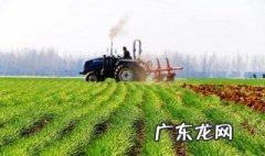 如何种植绿肥和利用绿肥的方法 如何种植绿肥和利用绿肥