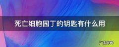死亡细胞园丁的钥匙有什么用 死亡细胞园丁的三把钥匙用处