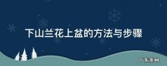 刚下山兰花上盆方法 下山兰花上盆的方法与步骤