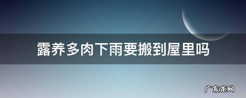 露养多肉下雨要搬到屋里吗 下雨天多肉要不要搬回室内