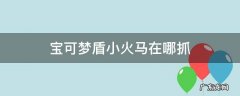 宝可梦小火马怎么抓 宝可梦盾小火马在哪抓