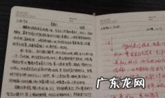 周记怎么写 周记怎么写300字