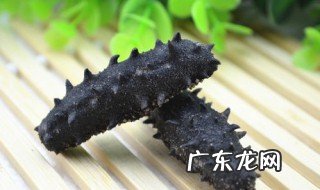 怎样发海参正确泡发方法视频 怎样发海参