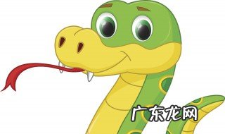 梦见蛇缠身是什么预兆 梦见蛇缠身是什么预兆但是他没咬人