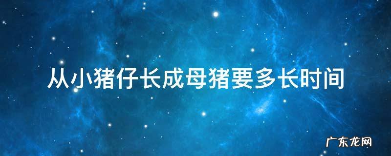 从小猪仔长成母猪要多长时间 小猪仔长大要多久