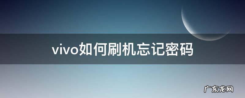 vivo如何刷机忘记密码 vivo怎样刷机,忘记密码
