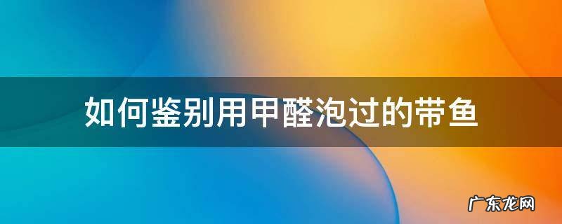 甲醛泡过的带鱼和真带鱼的区别 如何鉴别用甲醛泡过的带鱼