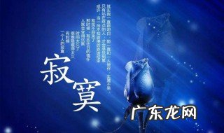 寂寞的反义词是什么 寂寞的反义词是什么 标准答案