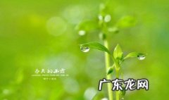 什么的春天四字成语 什么的春天