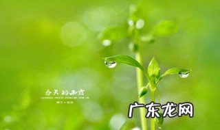 什么的春天四字成语 什么的春天