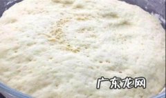 酵母粉发面的做法步骤图 酵母粉发面的做法