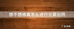 想不想修真怎么进行元婴出窍 想不想修真元婴出窍诀
