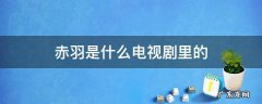 赤羽是什么电视剧里的 赤羽是谁演的