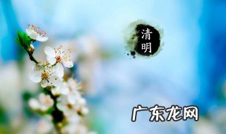 清明节吃什么传统食物