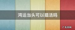 鸿运当头可以插活吗 鸿运当头怎么扦插