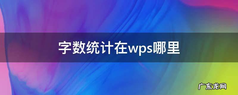 WPS的字数统计在哪里 字数统计在wps哪里