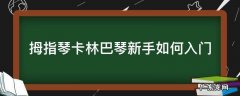 拇指琴卡林巴琴新手如何入门 卡巴林拇指琴好学吗