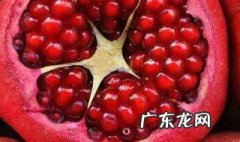 快速补血的水果有哪些 补血的水果有哪些