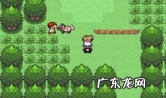 漆黑的魅影攻略完整三周目 漆黑的魅影攻略