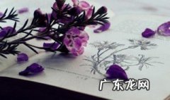 什么路最窄 什么路最窄?