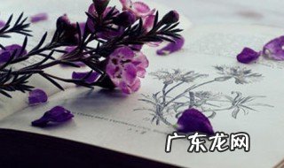 什么路最窄 什么路最窄?