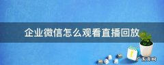 企业微信如何观看直播回放 企业微信怎么观看直播回放