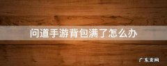 问道背包满了,取东西丢失了 问道手游背包满了怎么办