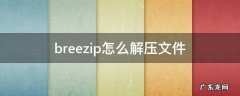 breezip怎么解压文件 breezip怎么解压rar