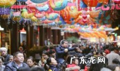 关于春节的资料 关于春节的资料50字