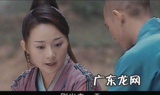 少林寺传奇演员表 少林寺传奇演员表3